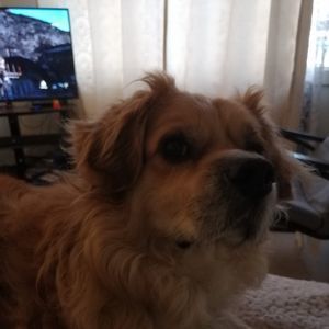 Meet your Posher, Lisa